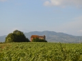 Casa Silvestri, in lontananza