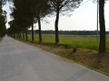 Cippo Brittoli-Bettaccini lungo la via delle Morette