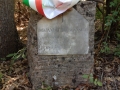 Lapide Borgiani