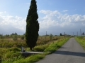 Cippo Domenico Magrini